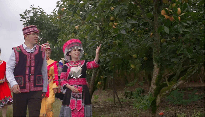 9001cc金沙以诚为本(中国集团)有限公司官网