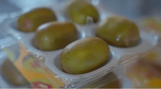 9001cc金沙以诚为本(中国集团)有限公司官网