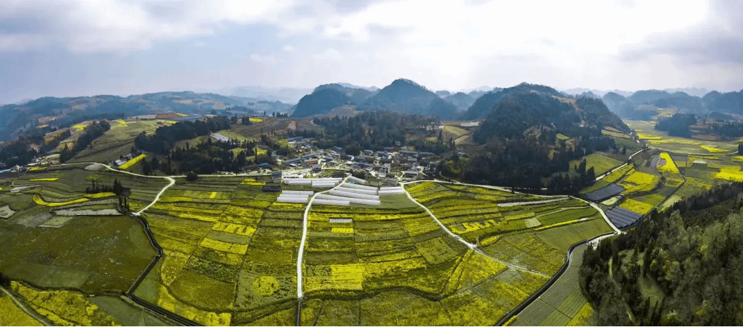 9001cc金沙以诚为本(中国集团)有限公司官网