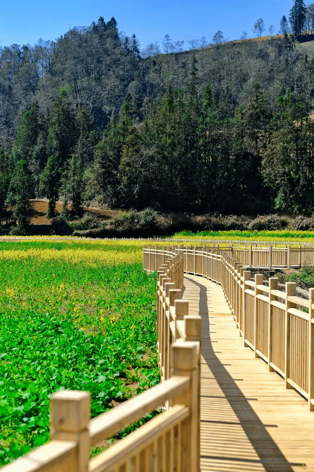 9001cc金沙以诚为本(中国集团)有限公司官网