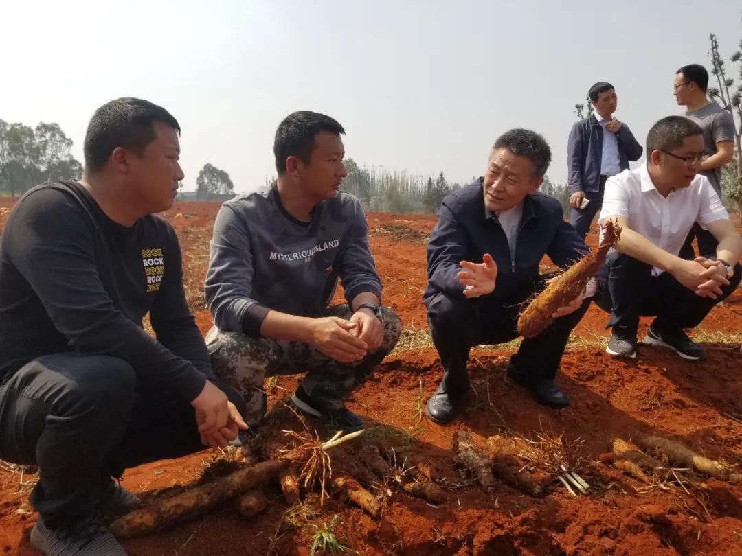 9001cc金沙以诚为本(中国集团)有限公司官网