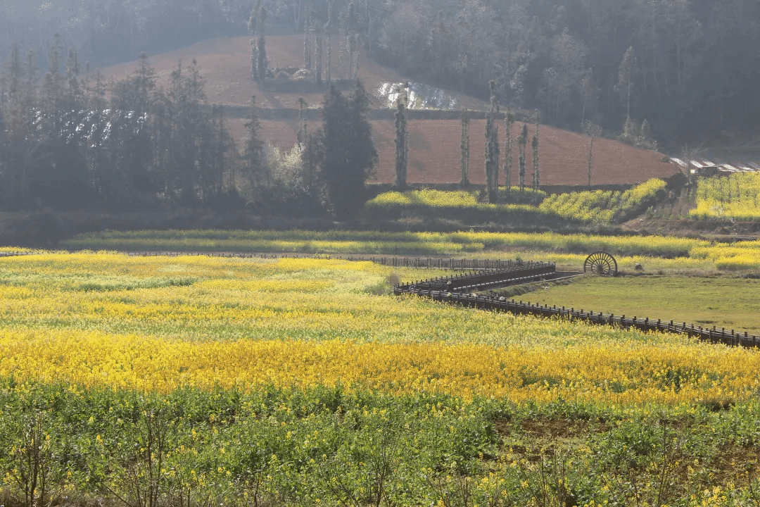 9001cc金沙以诚为本(中国集团)有限公司官网